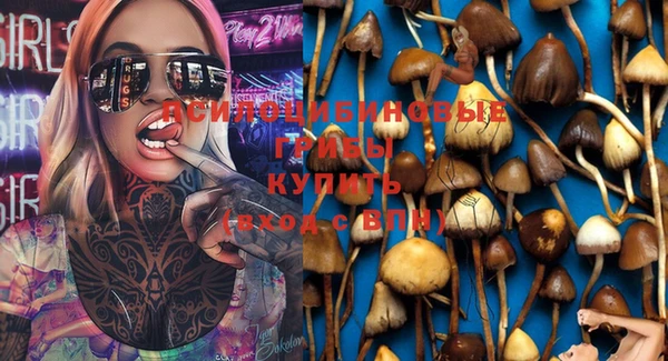 гашиш Белокуриха